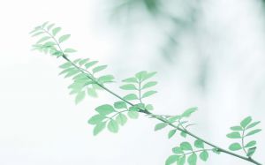 【推荐】小汤主麻辣烫加盟热线详